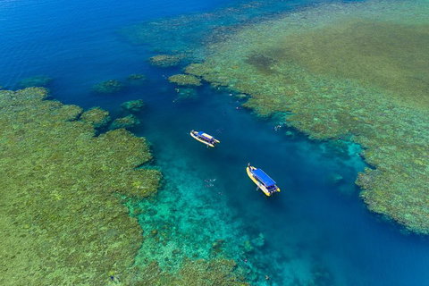 Great Barrier Reef Scenic Flight And Ocean Rafting Whitehaven Beach Day Trip - Holiday Cairns 4