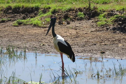 Darwin To Kakadu Day Trip By Air Including Yellow Water Cruise - Holiday Cairns 0