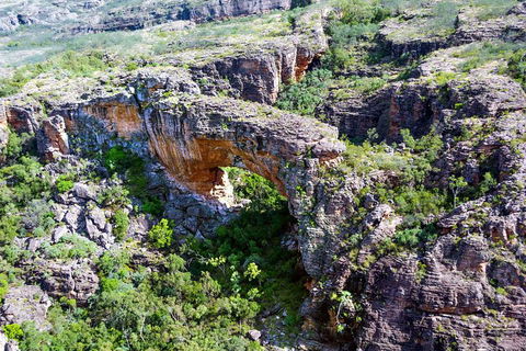 Darwin To Kakadu Day Trip By Air Including Yellow Water Cruise - Holiday Cairns 4