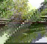 Hartley's Crocodile Adventures Breakfast with the Koalas - Holiday Cairns