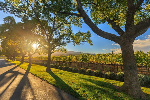Very Best Of Perth Tour - Wildlife Park & City Highlights Tour - Holiday Cairns 2