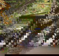 Adelaide Highlights Hahndorf  McLaren Vale Wine Tasting and Sightseeing Tour - Holiday Cairns