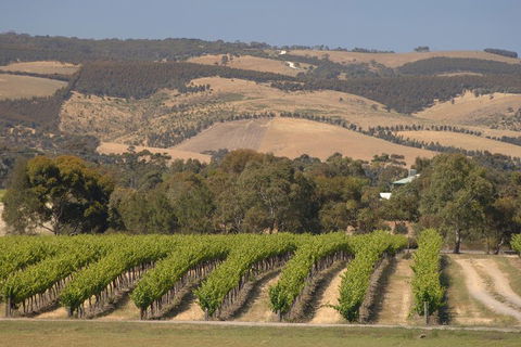 McLaren Vale And Glenelg Wine Tasting And Sightseeing (Half-day Afternoon) - Holiday Cairns 2