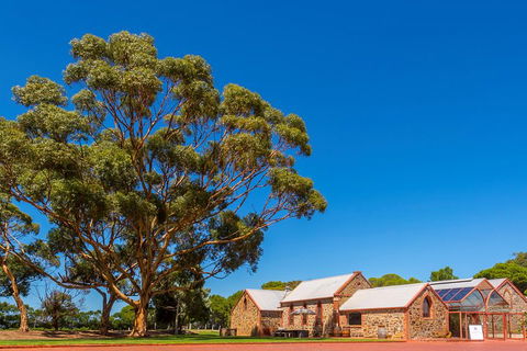 McLaren Vale And Glenelg Wine Tasting And Sightseeing (Half-day Afternoon) - Holiday Cairns 5