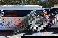 Mount Tamborine Wine Tasting Tour from Brisbane or the Gold Coast, Surfers Paradise