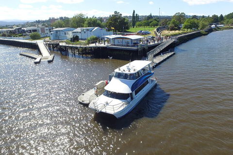 2.5 Hour Morning Discovery Cruise Including Sailing Into The Cataract Gorge - Holiday Cairns 3