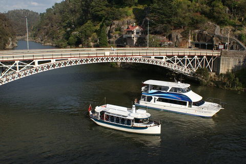 2.5 Hour Morning Discovery Cruise Including Sailing Into The Cataract Gorge - Holiday Cairns 5