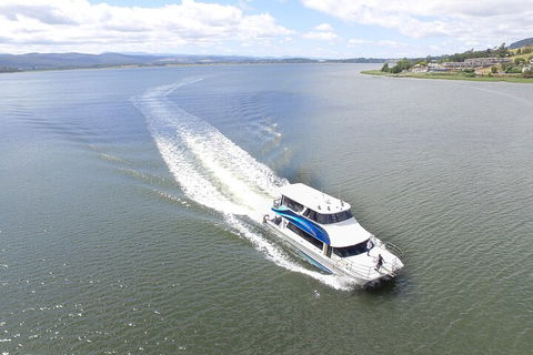 2.50 Hour Afternoon Discovery Cruise Including Cataract Gorge Departing At 3 Pm - Holiday Cairns 0