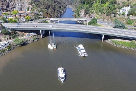 2.50 Hour Afternoon Discovery Cruise Including Cataract Gorge Departing At 3 Pm - Holiday Cairns 1