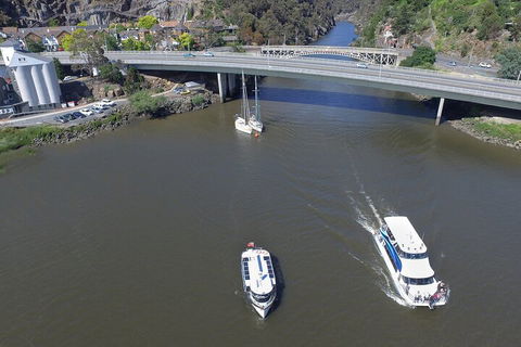 2.50 Hour Afternoon Discovery Cruise Including Cataract Gorge Departing At 3 Pm - Holiday Cairns 3