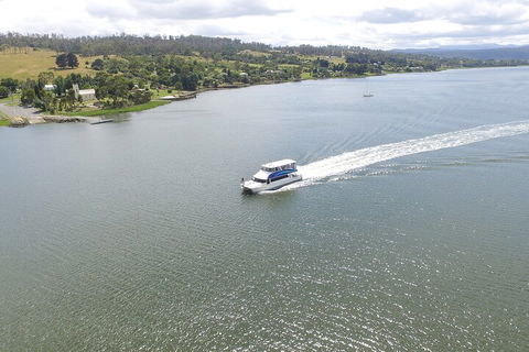 2.50 Hour Afternoon Discovery Cruise Including Cataract Gorge Departing At 3 Pm - Holiday Cairns 4