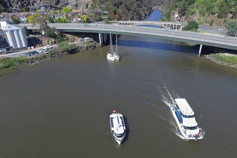 2.50 Hour Afternoon Discovery Cruise Including Cataract Gorge Departing At 3 Pm - Holiday Cairns 5