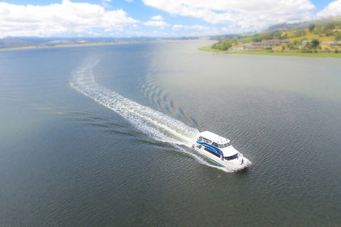 2.5 Hour Afternoon Discovery Cruise Including Cataract Gorge Departs At 1: 30 Pm - Holiday Cairns 0