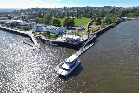 2.5 Hour Afternoon Discovery Cruise Including Cataract Gorge Departs At 1: 30 Pm - Holiday Cairns 3