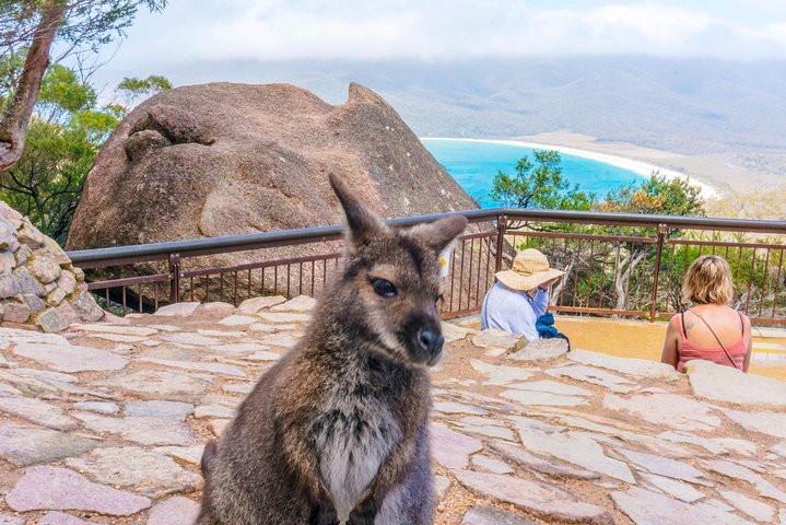 Hobart TAS Holiday Cairns