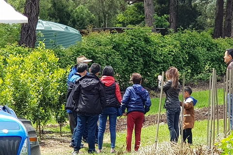 Dandenong Ranges And Rayners Orchard Tour From Melbourne - Holiday Cairns 4