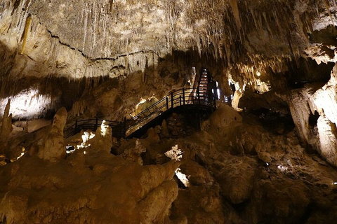 Ngilgi Cave Semi-guided Tour - Holiday Cairns 2
