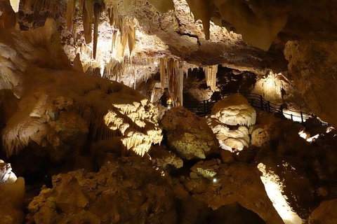 Ngilgi Cave Semi-guided Tour - Holiday Cairns 3