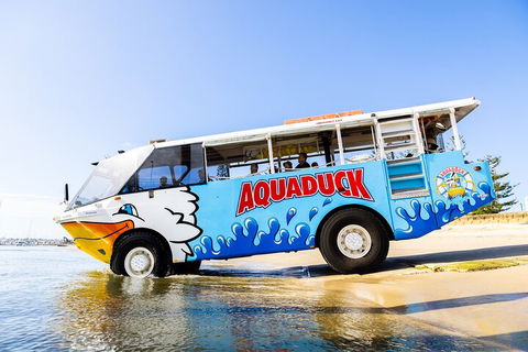 Aquaduck & Your Choice Of Gold Coast Rainforest Tour - Holiday Cairns 3