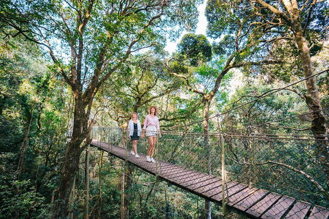 Aquaduck & Your Choice Of Gold Coast Rainforest Tour - Holiday Cairns 4