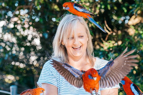 Aquaduck & Your Choice Of Gold Coast Rainforest Tour - Holiday Cairns 5