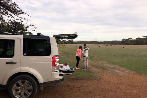 Kangaroo Island 4WD Tour - Flinders Chase - Holiday Cairns 3