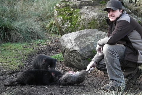 After Dark Tasmanian Devil Feeding Tour At Cradle Mountain - Holiday Cairns 2