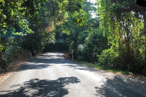 Cairns To Cooktown 4WD Tour - Holiday Cairns 0