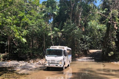 Cairns To Cooktown 4WD Tour - Holiday Cairns 5