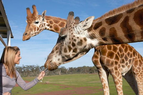 Melbourne City Card (2 Days): Visit Unlimited Attractions! - Holiday Cairns 1