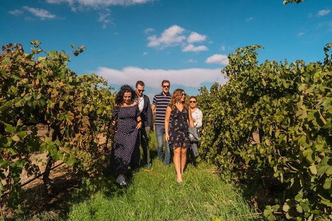 Barossa Valley Private Tour (from 2 To 11 People) - Holiday Cairns 0