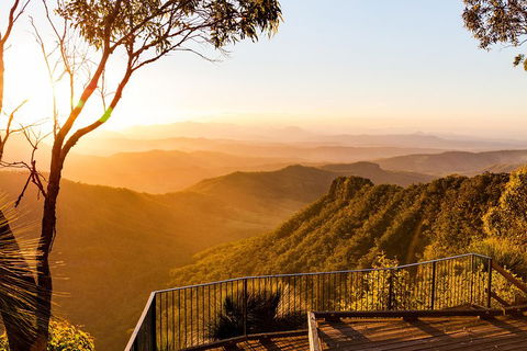 O'Reilly's & Lamington National Park Incl. Alpaca Farm + Vineyard - Holiday Cairns 0