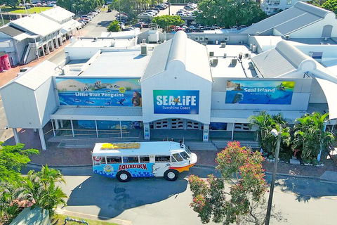Aquaduck Sunshine Coast - Holiday Cairns 3