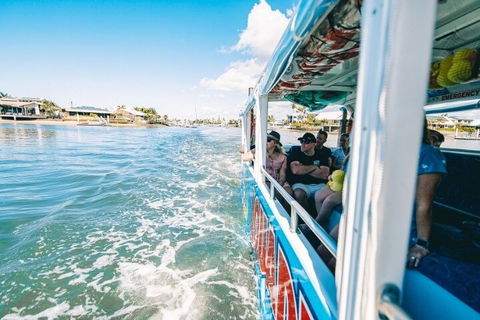 Aquaduck Sunshine Coast - Holiday Cairns 5