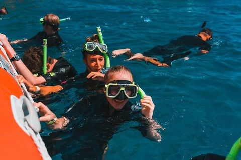 Whitehaven Beach And Hill Inlet Lookout Full-Day Snorkeling Cruise By High-Speed Catamaran - Holiday Cairns 3
