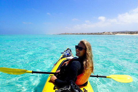 Lagoon Explorer - Ningaloo Reef Full-Day Kayaking And Snorkeling Adventure - Holiday Cairns 1