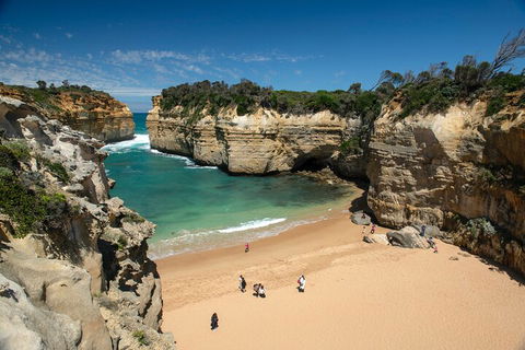 LGBT+ Friendly 12-Hour Great Ocean Road Private Tour - Holiday Cairns 5