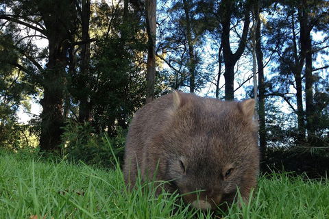 From The Mountains To The Bay - 4 Day Rediscovery Private Tour - Holiday Cairns 5