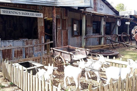 Full Day Atherton Tablelands Tour From Cairns - Holiday Cairns 4