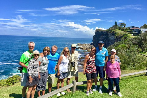 Shore Excursion: Sydney's Northern Beaches & Ku-ring-gai National Park Bus Tour - Holiday Cairns 0