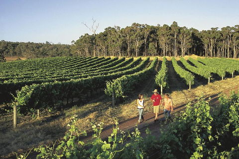 Margaret River, Caves, Wine And Cape Leeuwin Lighthouse Tour From Perth - Holiday Cairns 1