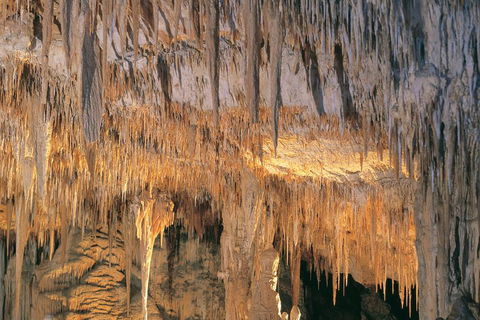 Margaret River, Caves, Wine And Cape Leeuwin Lighthouse Tour From Perth - Holiday Cairns 3