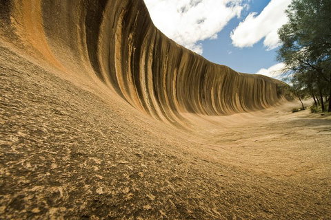 Wave Rock, York, Wildflowers, And Aboriginal Cultural Day Tour From Perth - Holiday Cairns 0