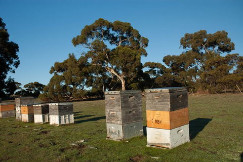 Fine Flavours - Full Day Kangaroo Island Food & Wine Tour - Holiday Cairns 1