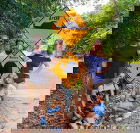 Cape Tribulation Daintree Rainforest and Wildlife Tour - Holiday Cairns