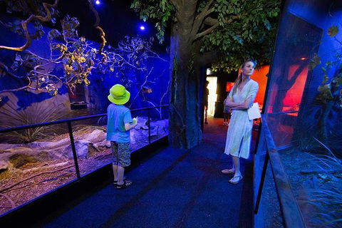 Wildlife Habitat Port Douglas - Holiday Cairns 4