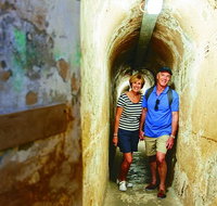 Rottnest Island Historical Train and Tunnel Tour from Hillarys Boat Harbour - Holiday Cairns