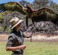 One Day Kangaroo Island Sip  See tour with return ferry transfers from Adelaide - Holiday Cairns