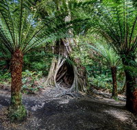 Adelaide to Melbourne 3-Day Trip through Grampians and Great Ocean Road - Holiday Cairns