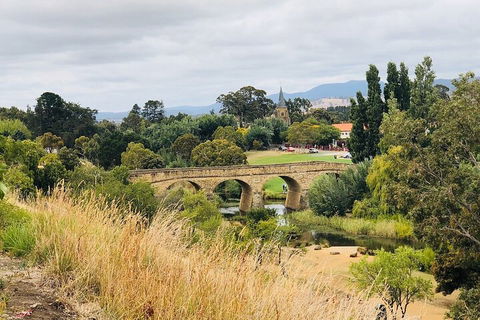 Day Tour In Mt. Field, Mt. Wellington, Bonorong Wildlife Sanctuary And Richmond - Holiday Cairns 3